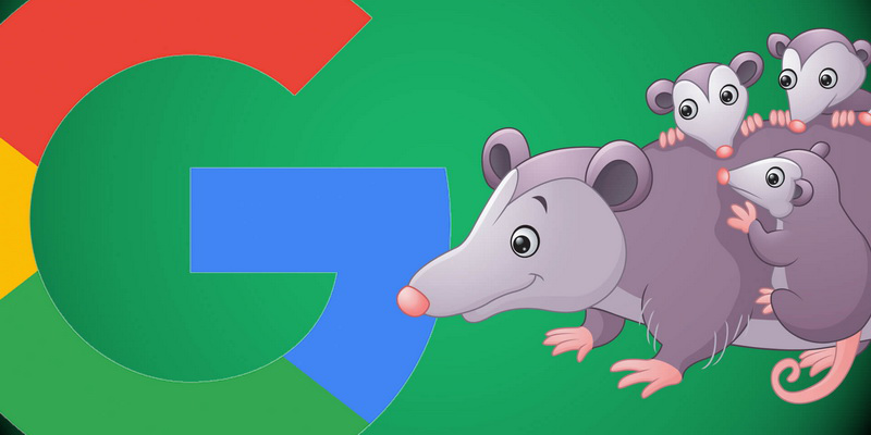 Надобность нового алгоритма Google Possum